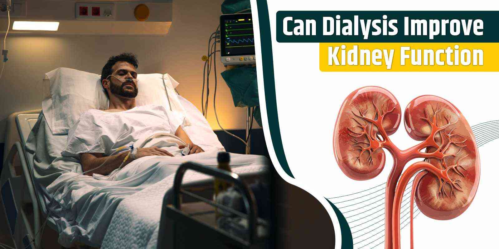 Can Dialysis Improve Kidney Function